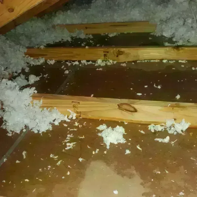 Attic Water Damage in Palmdale, CA