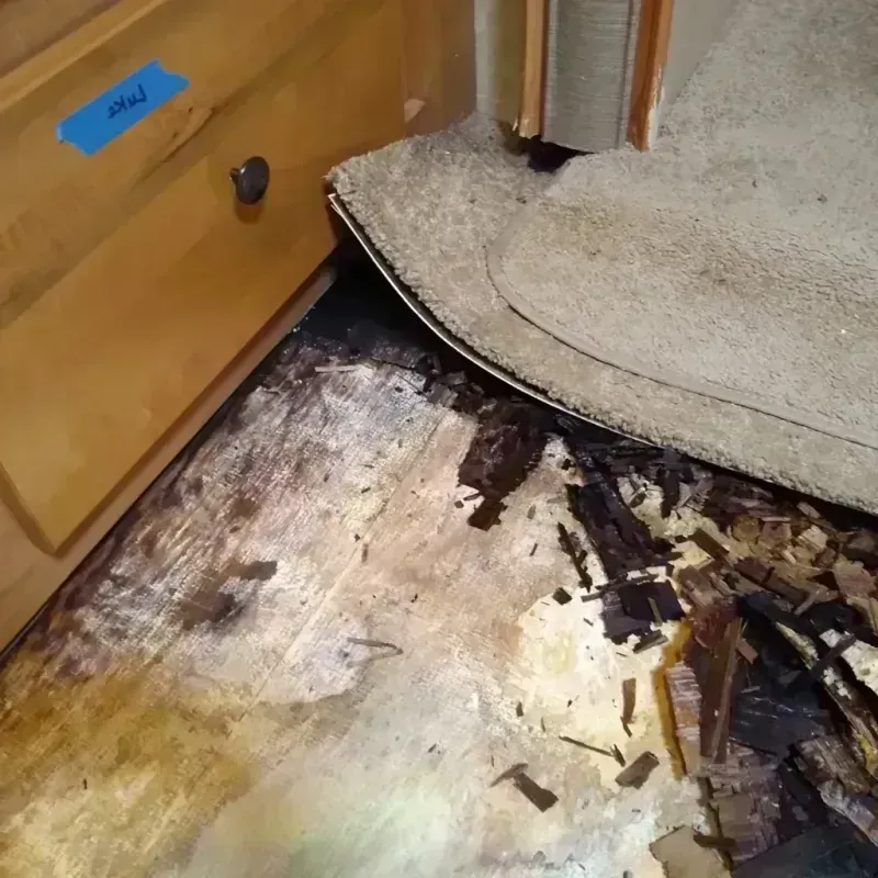 Wood Floor Water Damage in Palmdale, CA